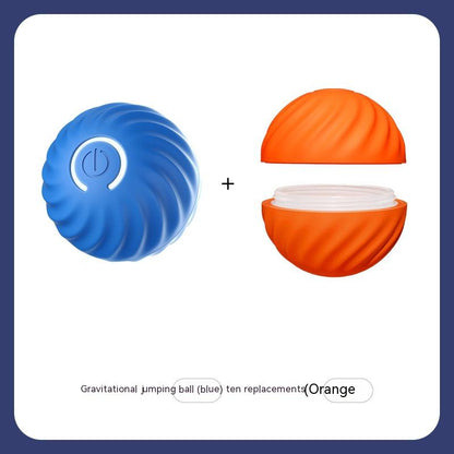 Durable Interactive Dog Ball