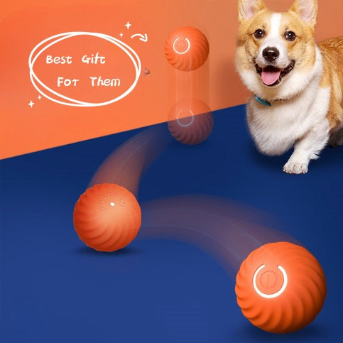 Durable Interactive Dog Ball