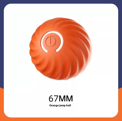 Durable Interactive Dog Ball