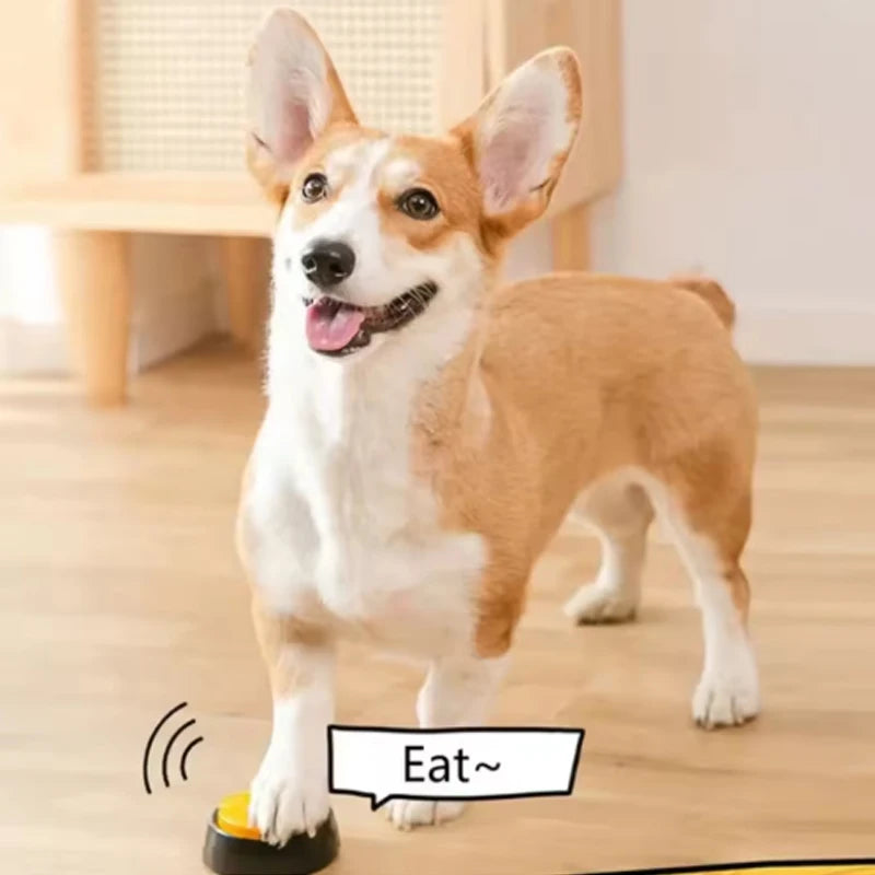 Pet Communication Training Buttons