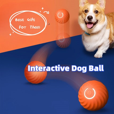 Durable Interactive Dog Ball