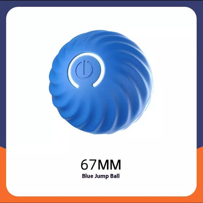 Durable Interactive Dog Ball
